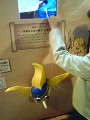 100515_1804~01.jpg 100515_1804~01.jpg